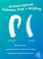 K18 Damage Shield pH Protective Shampoo 250ml on blue background